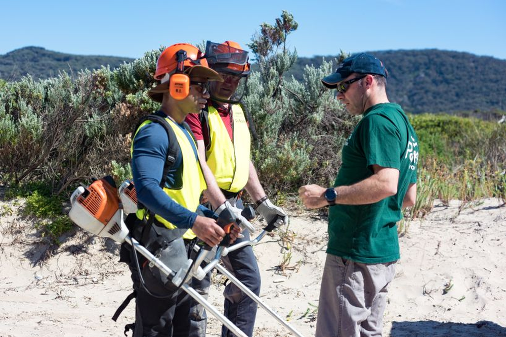 People working with safety equipment