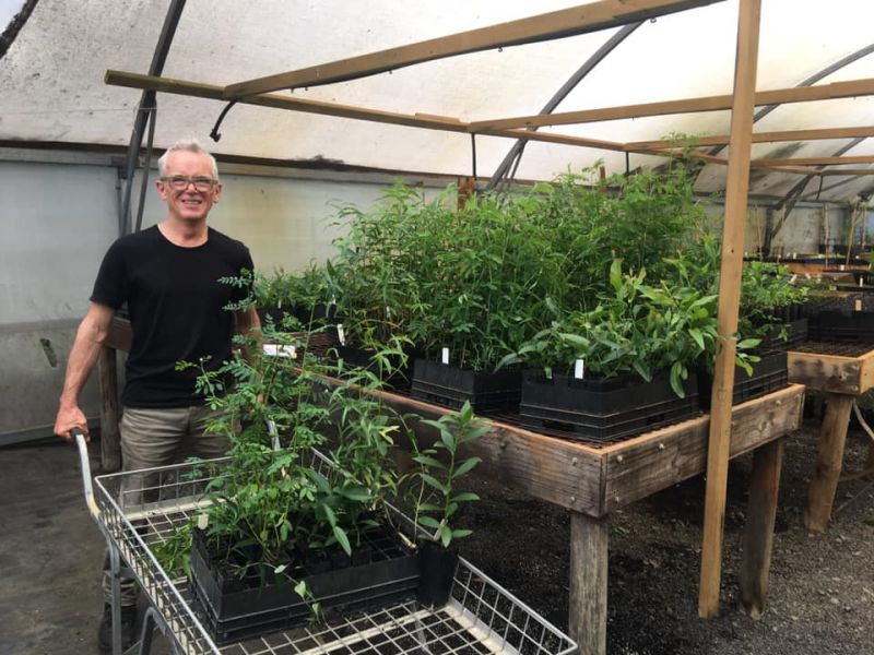Alan Pentland, French Island is standing surrounded by young plants ready to go in the ground