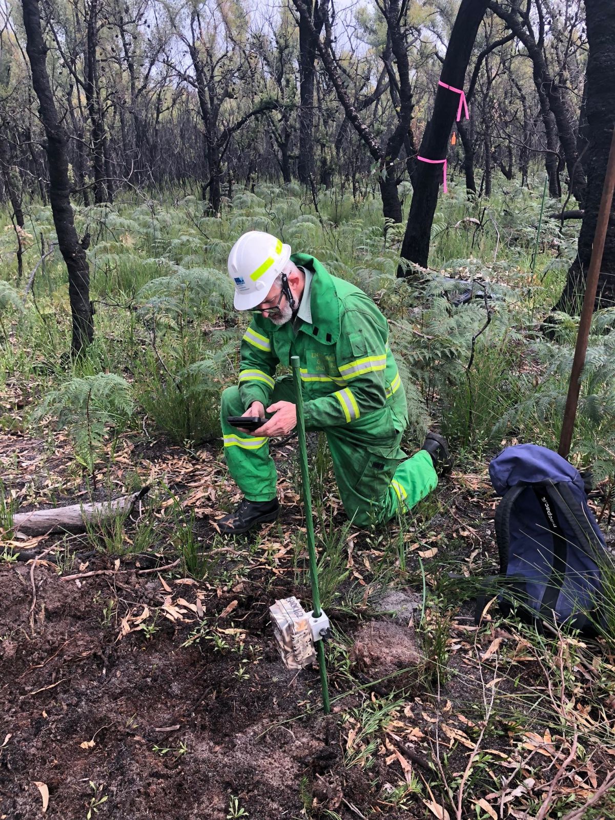 An image of a person setting up field cameras to detect native animals and pest species by Southern Ark.