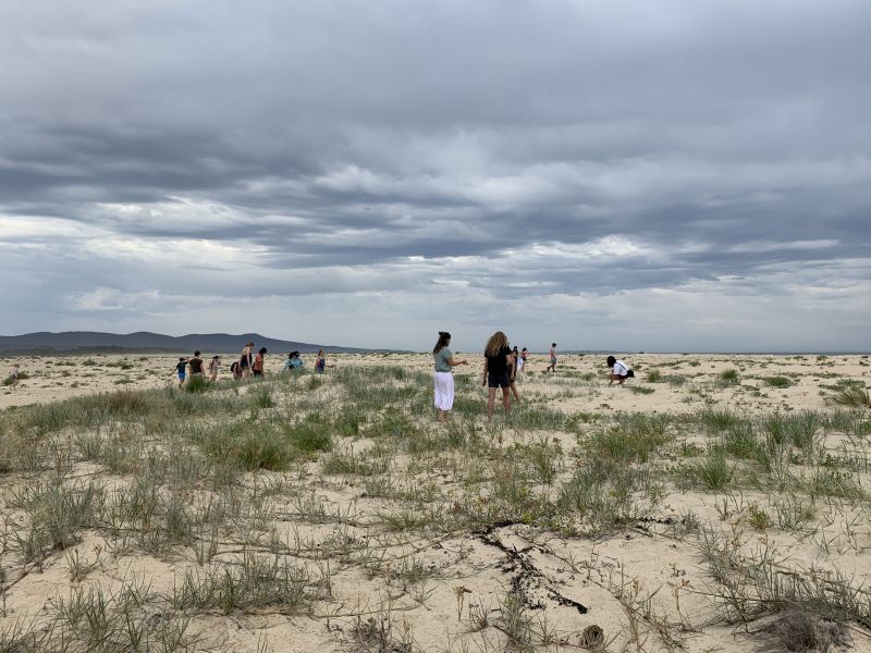 Volunteers at Mallacoota weeding on Bastion Beach