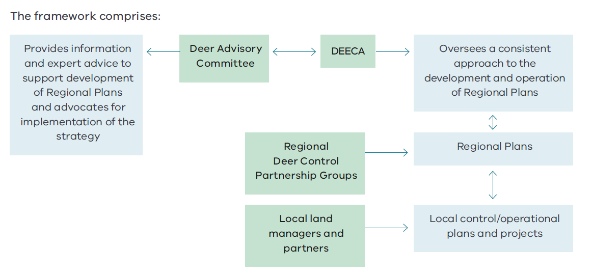 information and advice to support regional plans and advocates for implementation of the deer control strategy. deer advisory committee, deeca: oversees a consistent approach to development and operation of plans. Regional partnership hroups - regional plans. Local land managers and partners: local control operations plans and projects