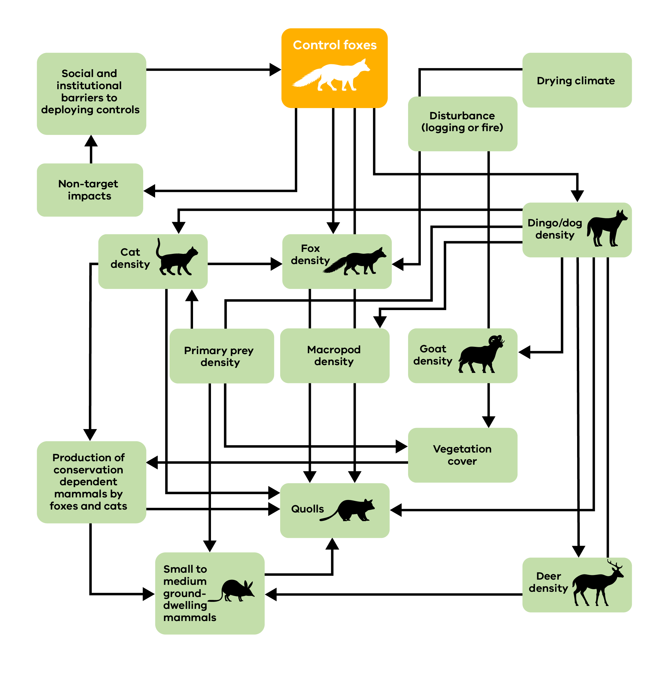 Example of a flowchart showing the complex relationships and considerations relevant to fox control.