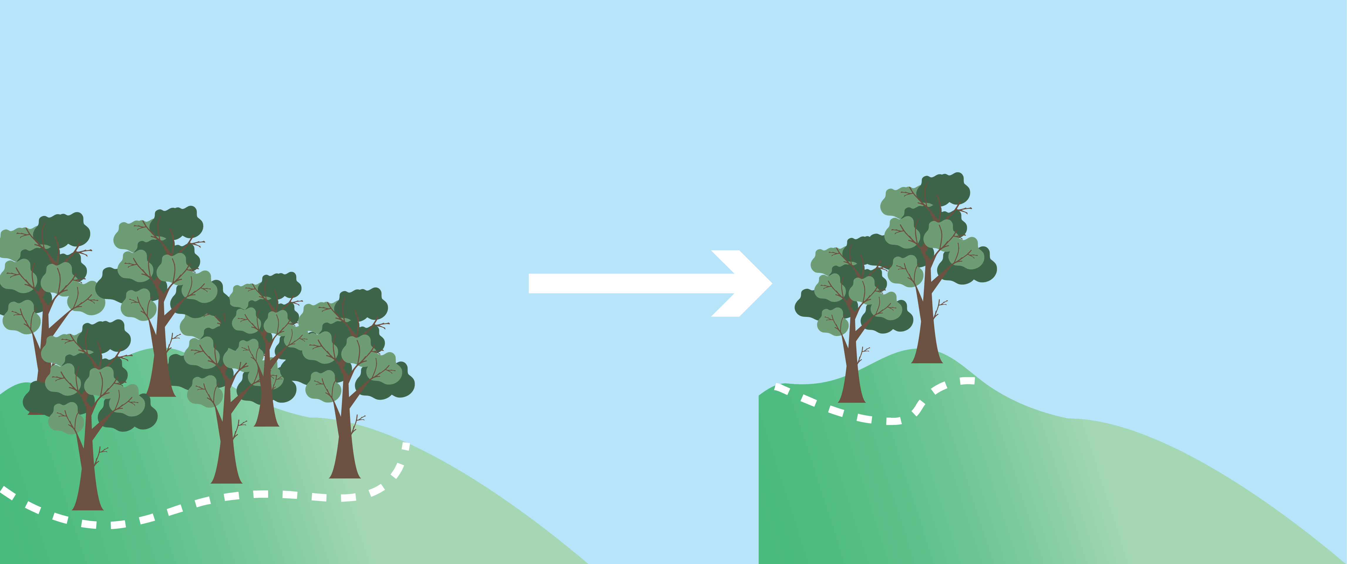 Diagram showing loss of sensitive ecosystem