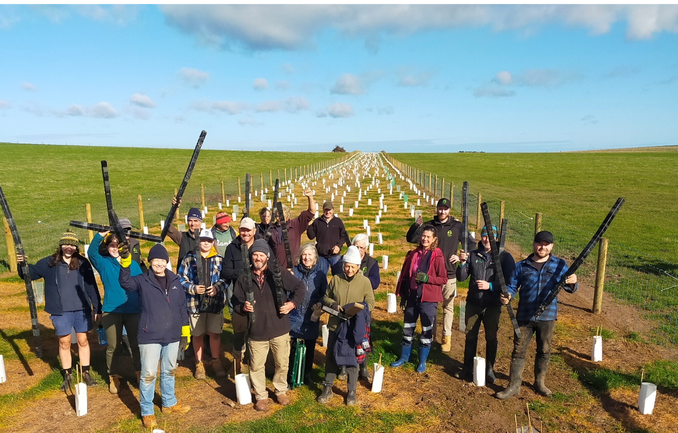 Phillip Island Landcare Group celebrate 1,500 plants and guards in the ground in Ventnor, Phillip Island, on the lands of the Bunurong and Boon Wurrung people. 
