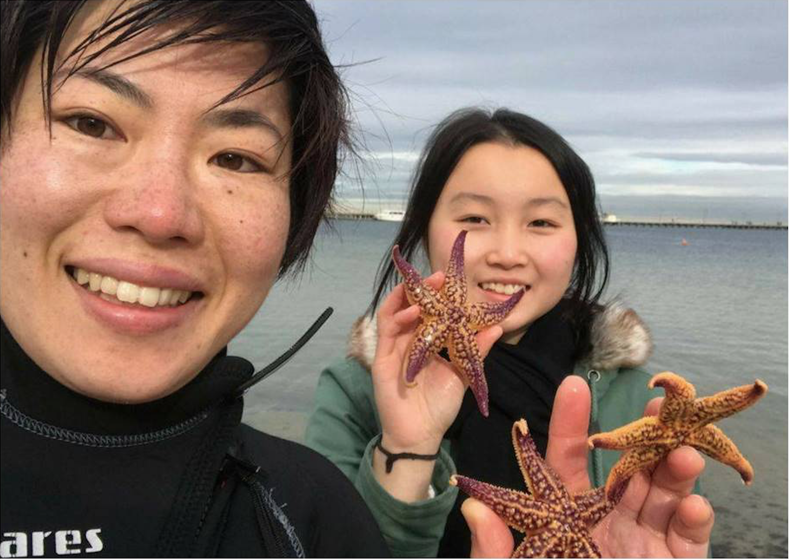Two women holding starfish