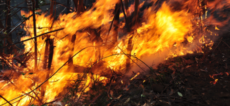 A bushfire along a ridge