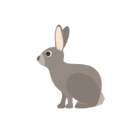 An icon of a rabbit