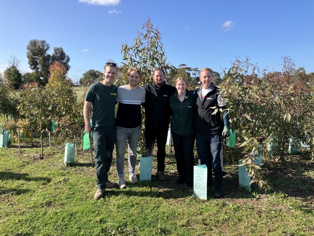 Five adults stand in front of a bed of freshly planted trees