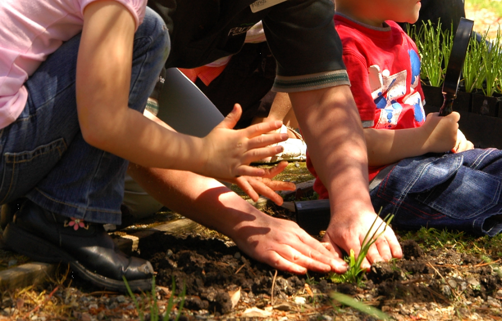 Environmental volunteering