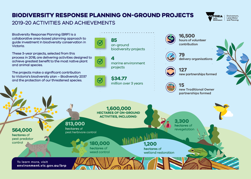 BRP 2019-20 InfographicBRP 2019-20 Infographic