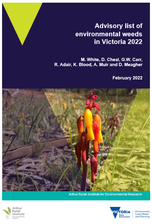 A red and yellow weed with tube shaped bell flowers against a natural understorey background: Lachenalia aloides (Soldiers) have escaped from gardens and are spreading in natural areas such as at Goroke North State Forest in the Wimmera.