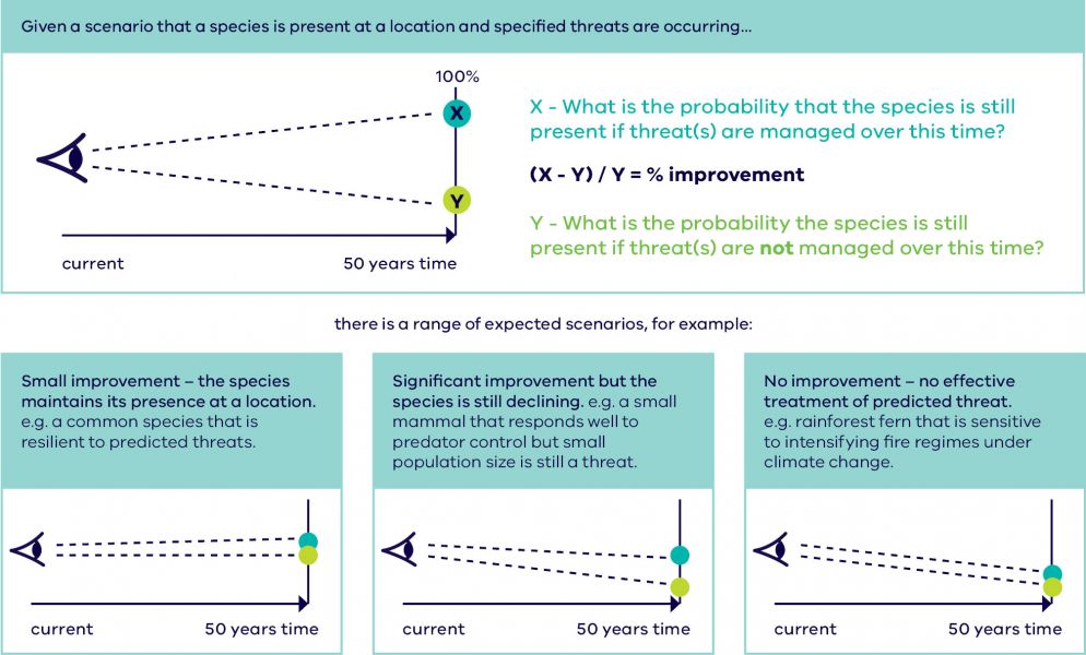 Expert elicitation of the likelihood of species persistence