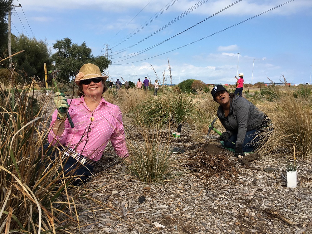 Volunteers at Westgate Park