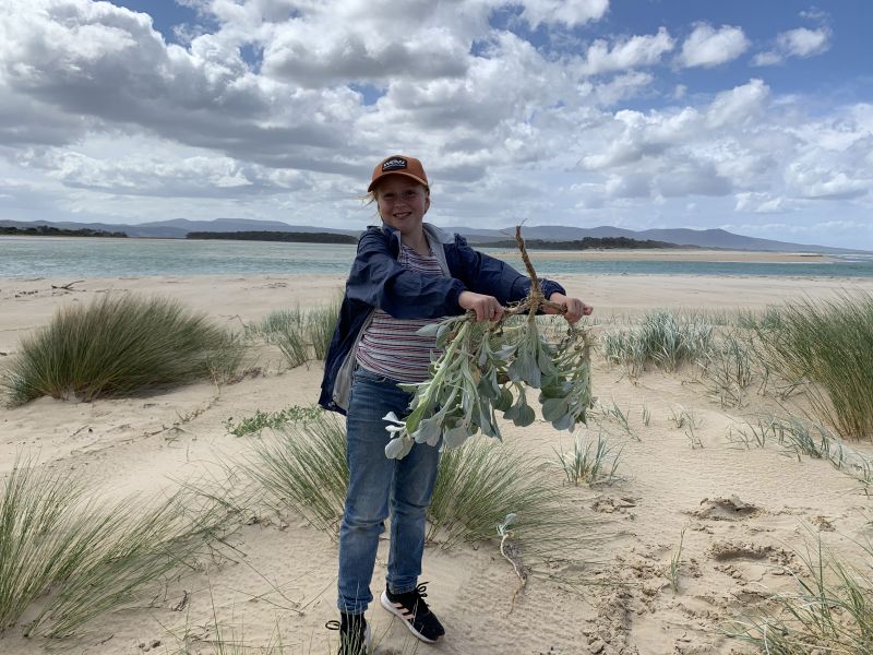 Matisse Turner weeding on the beach