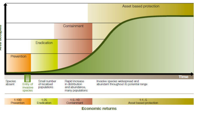 Invasion curve.