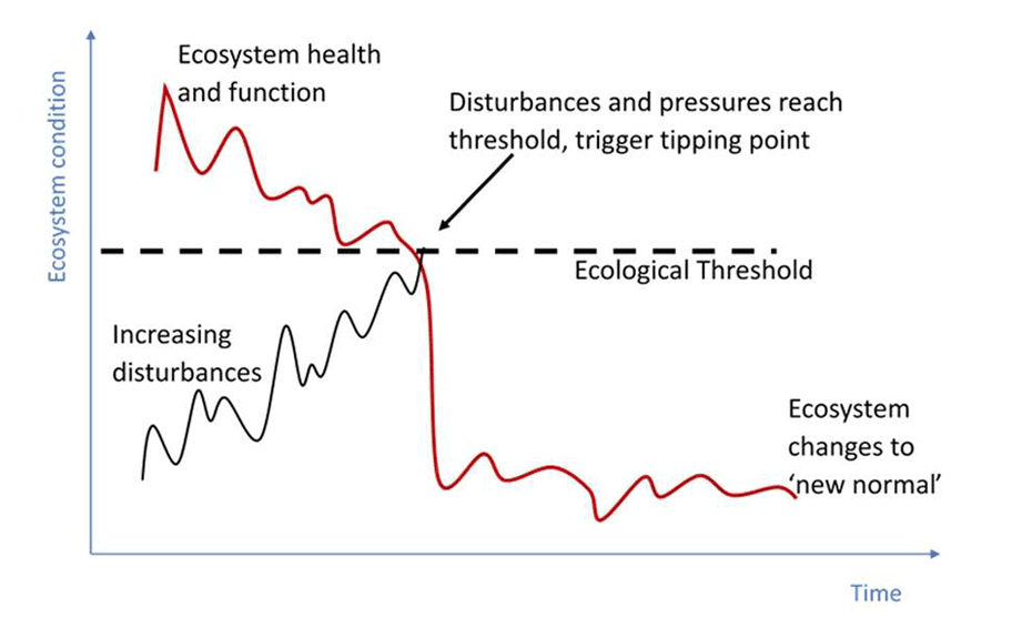 This figure shows change in ecosystem condition over time.