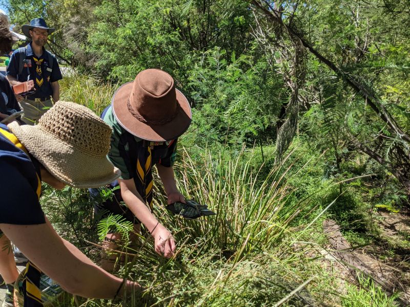 Children looking through grass for plant species