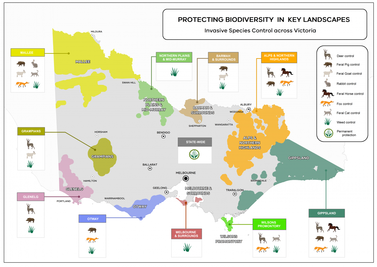 Map of Victoria with icons showing areas of invasive species control in key landscapes. The map illustrates the information provided in the table below.