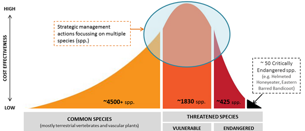 Conceptual model