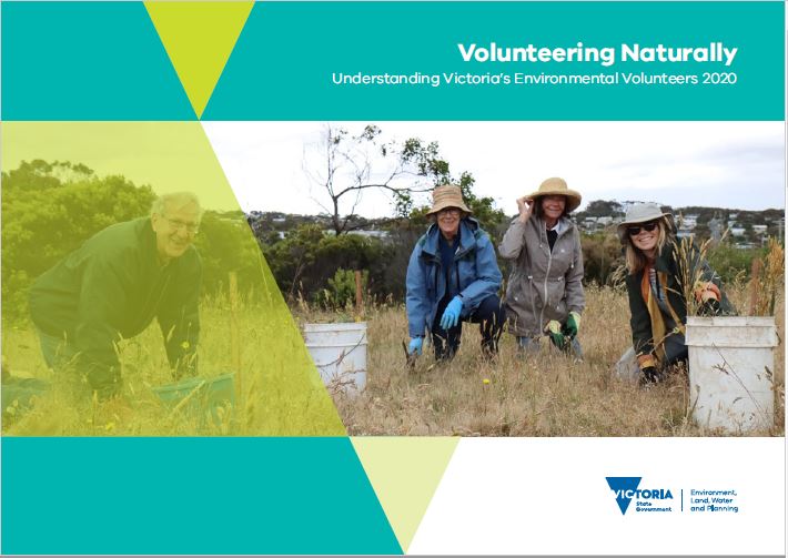 Volunteering Naturally 2020 cover