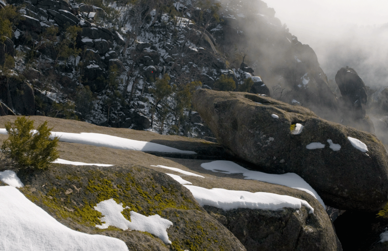 Snow on Mount Buffalo
