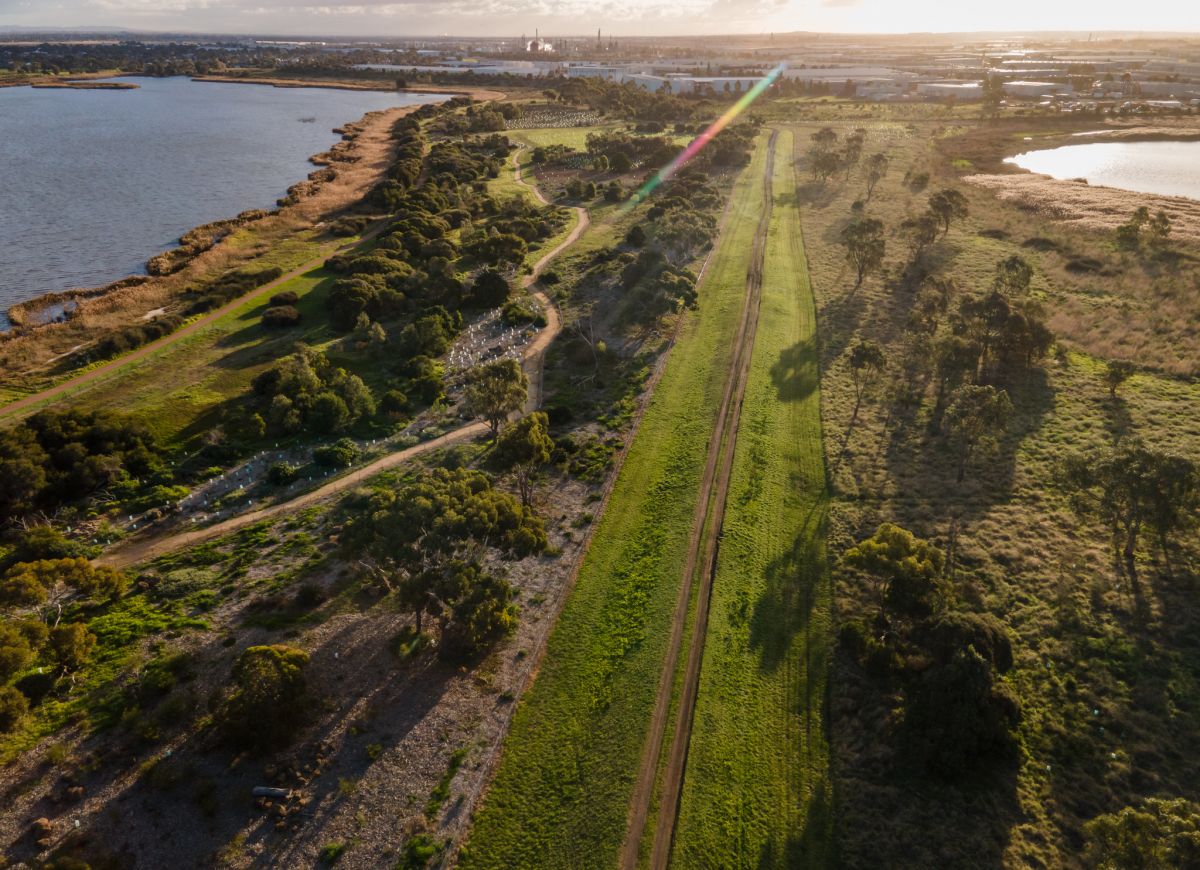 Plantings at Cherry Lake, July 2022