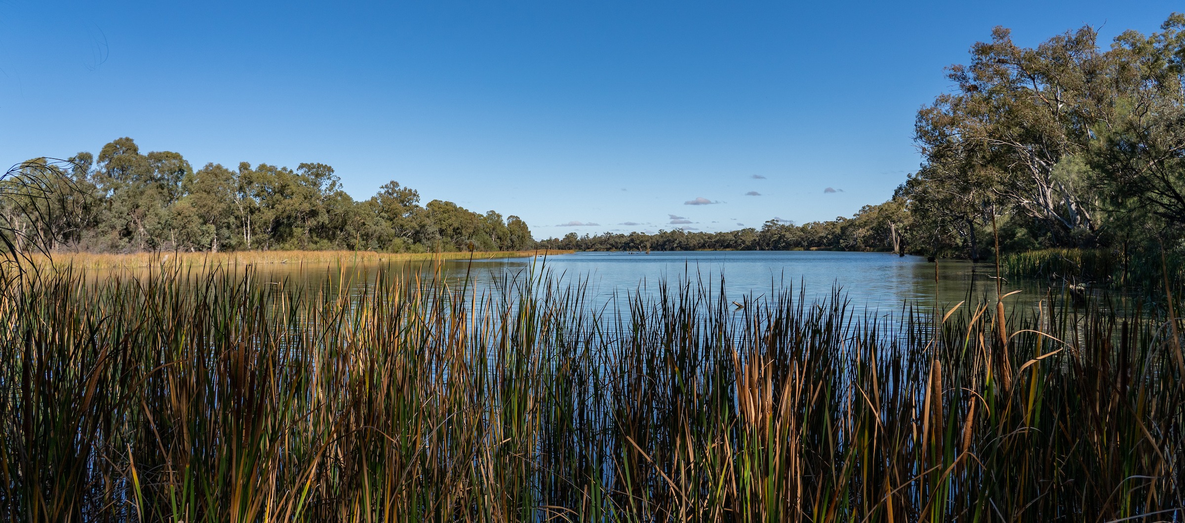 Photo of a billabong with blue sky and grasses in the foreground
