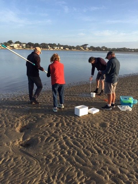 Barwon Estuary Monitoring