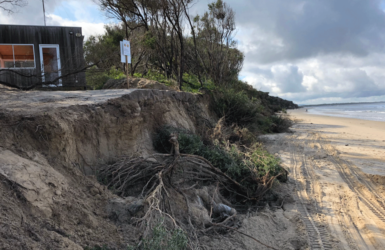 Coastal dunes that have been severely eroded