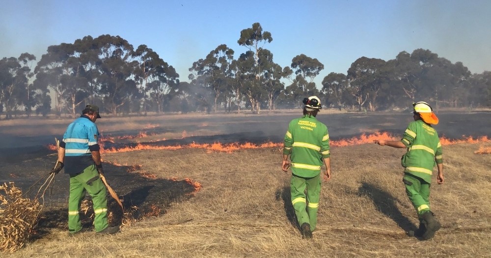 Barengi Gadjin Land Council implementing Cultural fire into the landscape