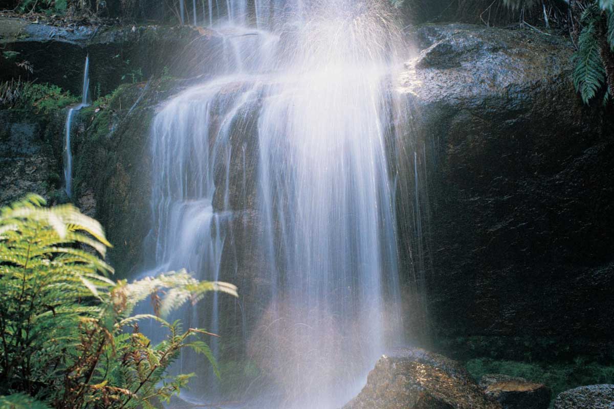 A waterfall in a forest.