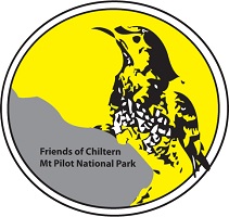 Friends Logo #1 (Yellow)