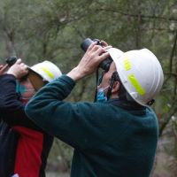 two people look up into the tree tops with binoculars