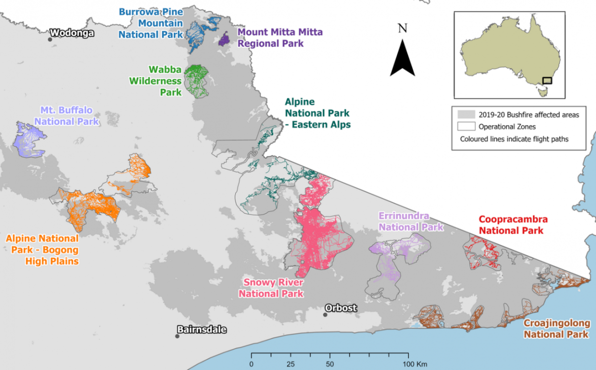 Aerial shooting operational areas in Eastern Victoria  Map of aerial shooting operational areas in Eastern Victoria. The map shows Victoria from Mount Buffalo and to the far east. There are ten aerial shooting operational areas marked on the map in different colours. In the north of the map, east of Wodonga are Burrowa-Pine Mountain National Park, Mount Mitta Mitta Regional Park and Wabba Wilderness Park. In the west of the map, south of Wodonga, are Mount Buffalo National Park and Alpine National Park - Bogong High Plains. In the centre of the map, north of Orbost, are the Alpine National Park - Eastern Alps and the Snowy River National Park.  In the east of the map, east of Orbost, are the Errinundra National Park, Coopracambra National Park, and Croajingolong National Park. These operational areas are located almost entirely in 2019-20 bushfire-affected areas.