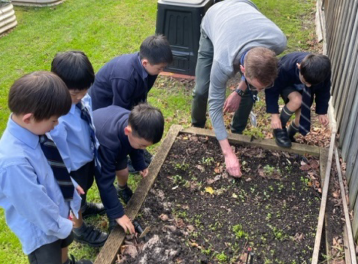 Kids gardening with a teacher