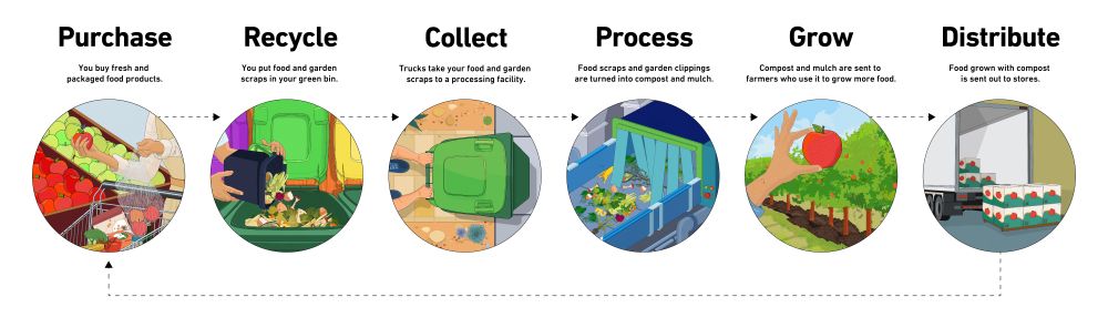 6 circular illustrations depict stages of food waste management: shopping with fresh produce in a cart, discarding food scraps into a green bin, close-up of bin lid, transporting boxes of strawberries, harvesting an apple from a tree, and a dumpster filled with discarded food