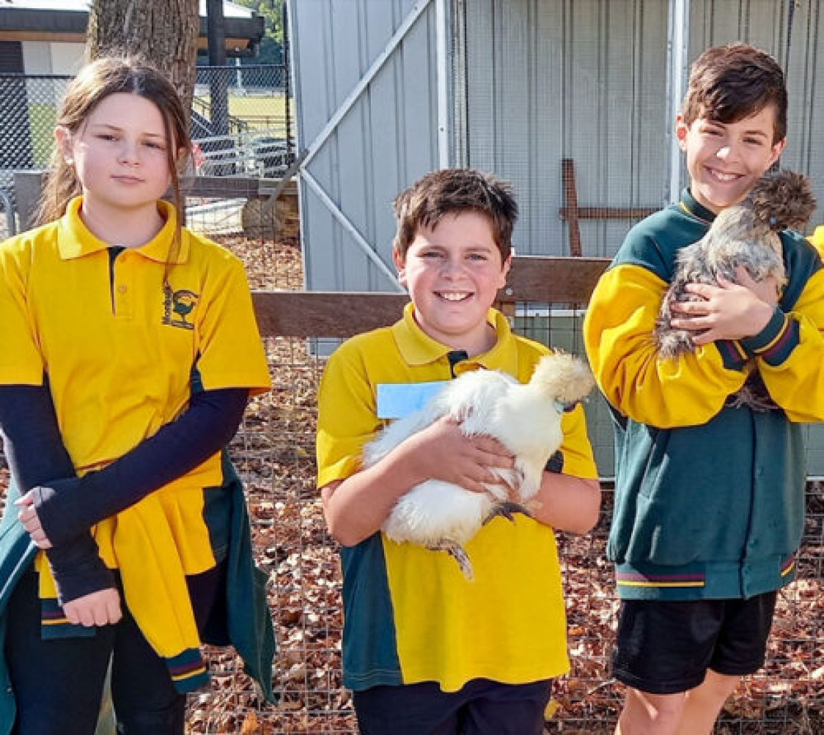 ResourceSmart School of the Year - Monbulk Primary School, Monbulk