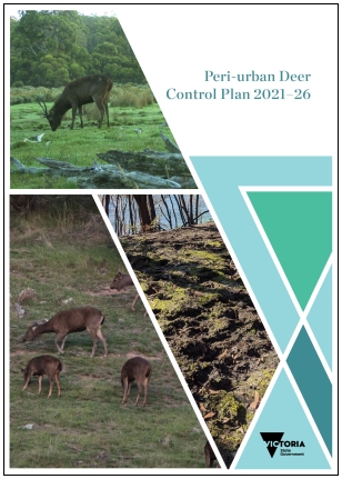 Peri-urban deer control Plan 2021-26 thumbnail