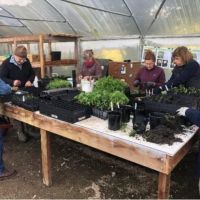 People standing around a table propagating plants