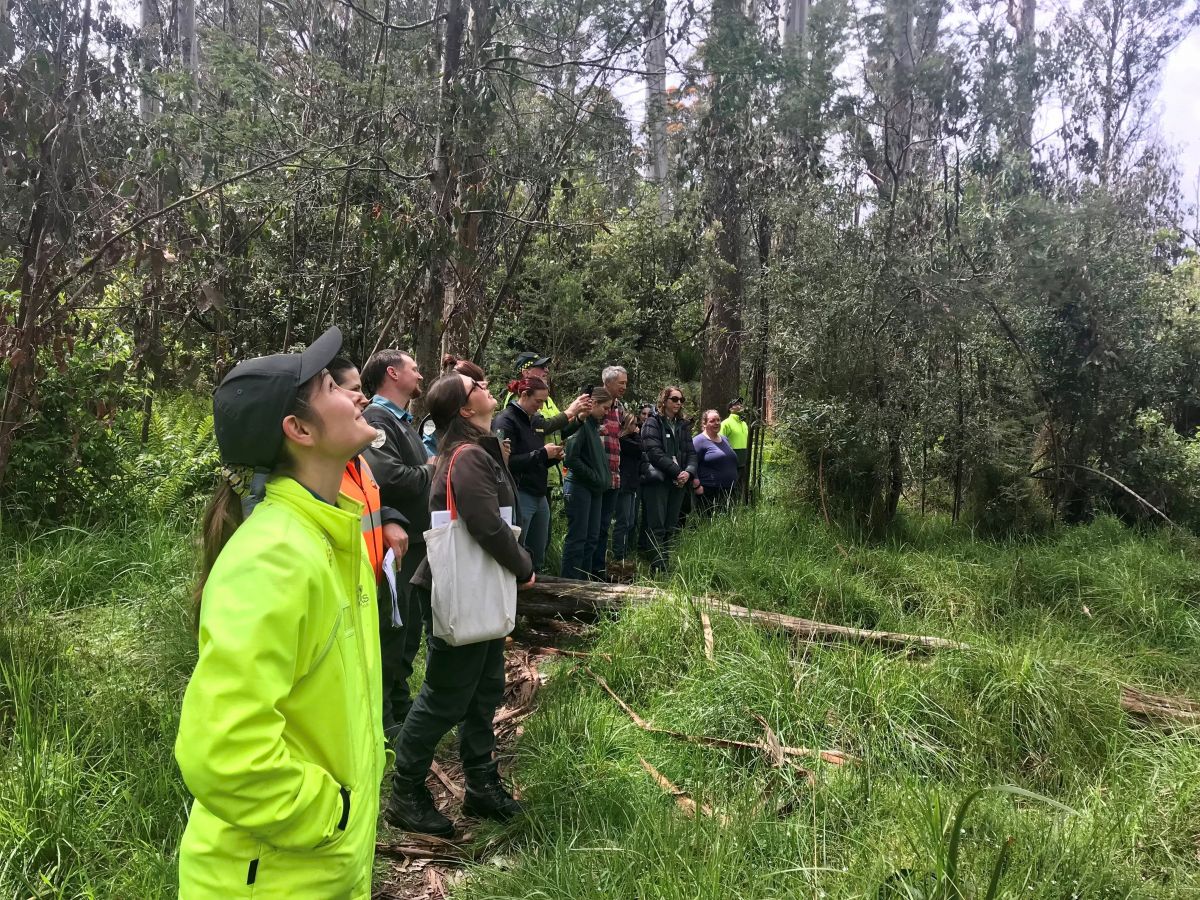 An image of a group of people inspecting plants