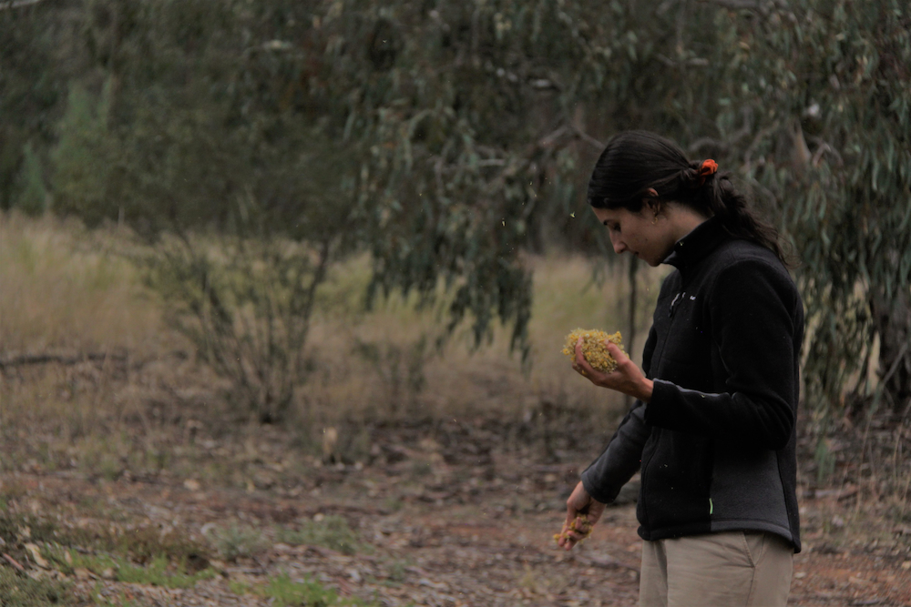 Young person sowing seeds