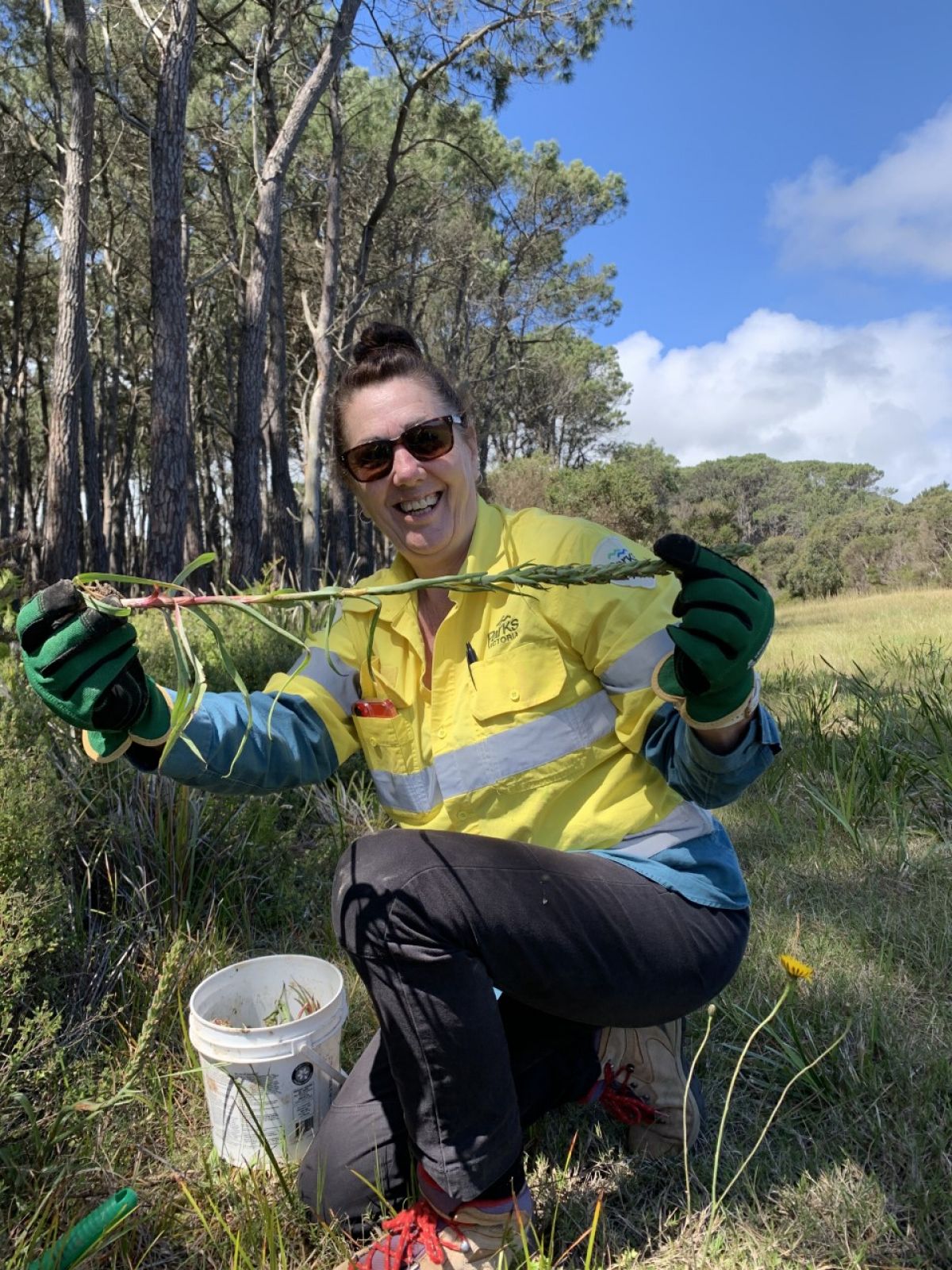 An image of a person holding up a weed wearing high-visibility clothing. 