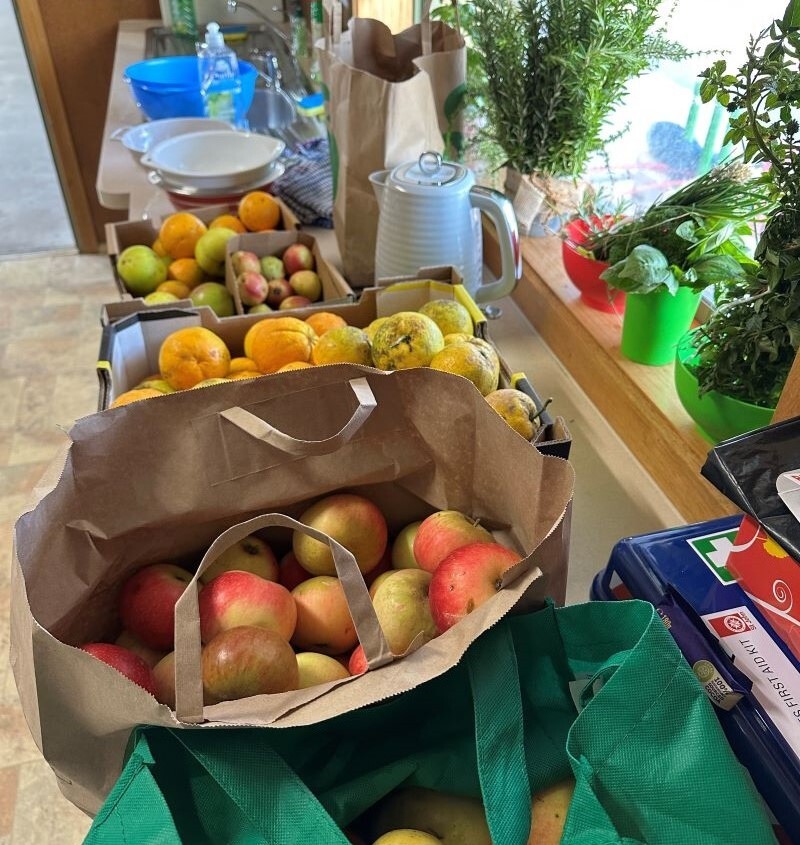 Kitchen counter filled with fresh produce and kitchen items, including apples in a brown paper bag, various citrus fruits in cardboard trays, and potted herbs in colourful containers
