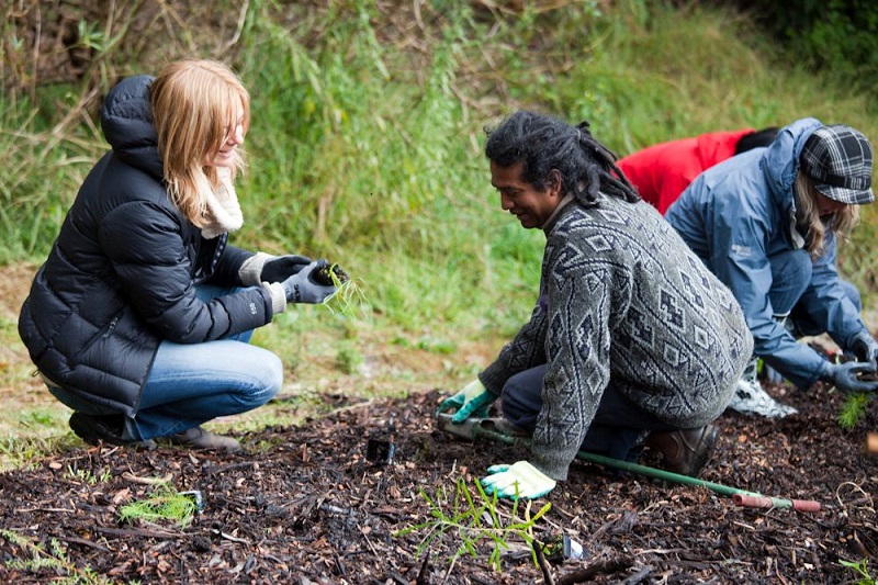 landcare for singles