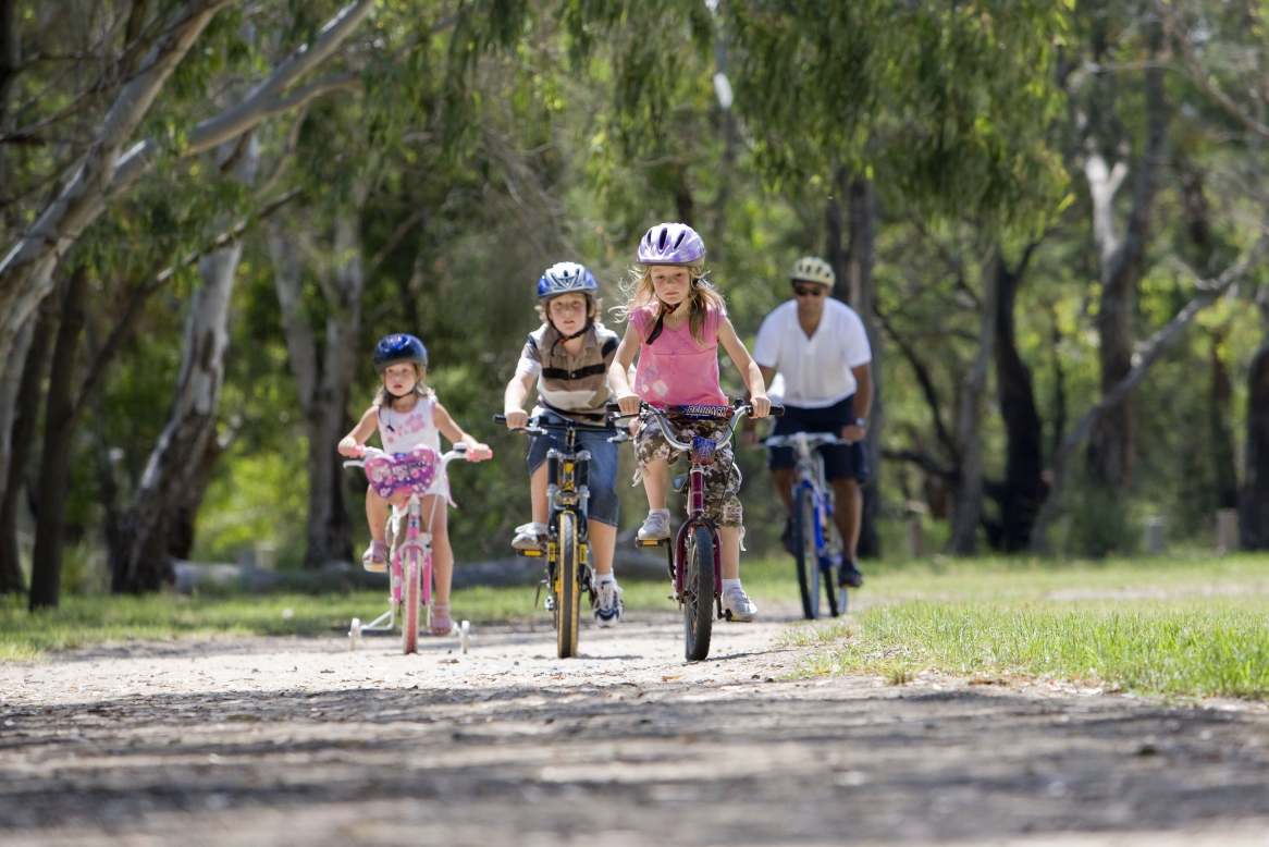 A family riding bikes