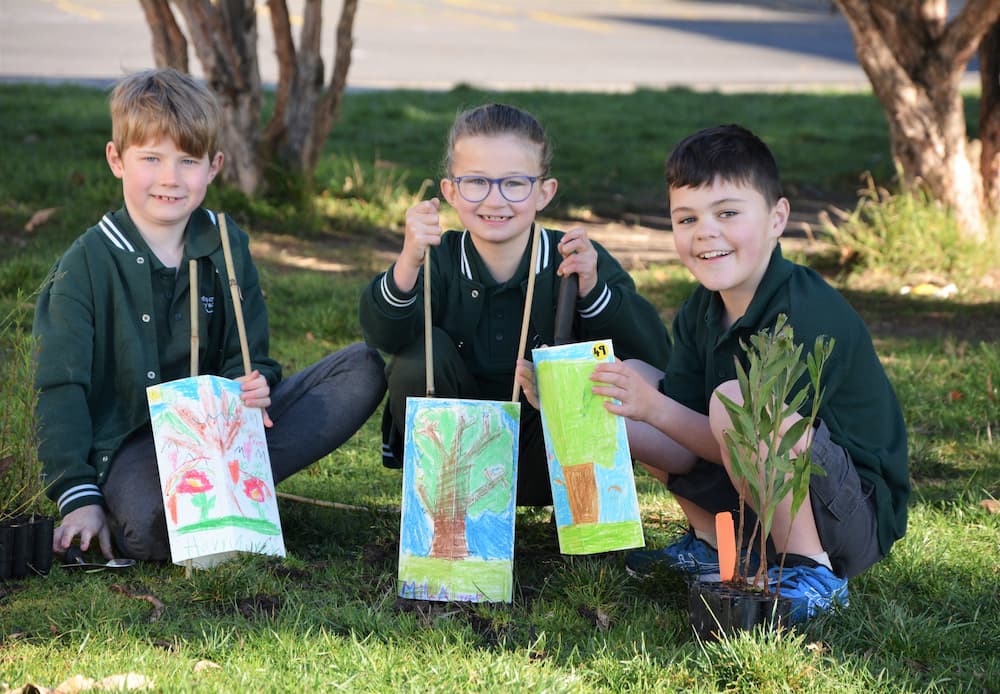 Children planting trees with decorated tree guards
