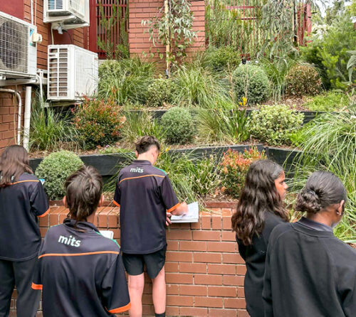 Melbourne indigenous transition school