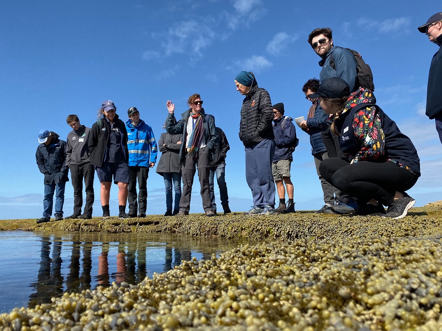 Volunteers at Rockpool