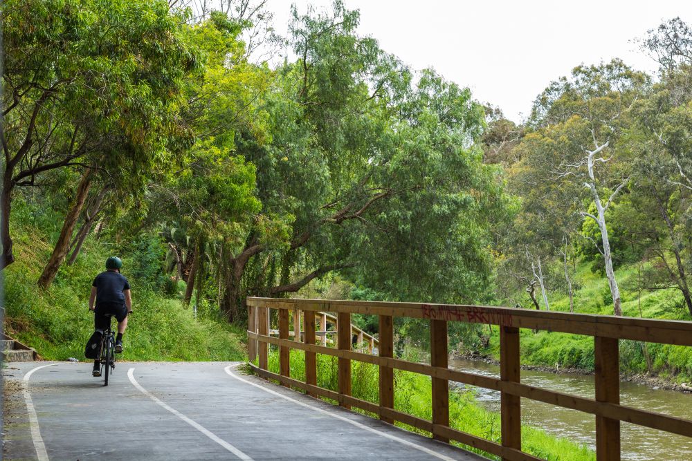 man riding a bike on a bike trail, guard rail visible