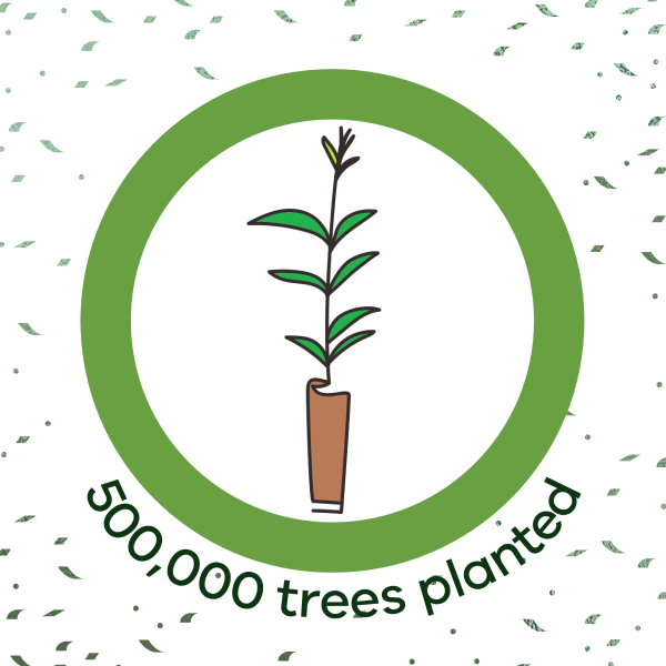 Graph showing target met 500,000 trees planted